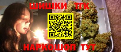 дживик Можга