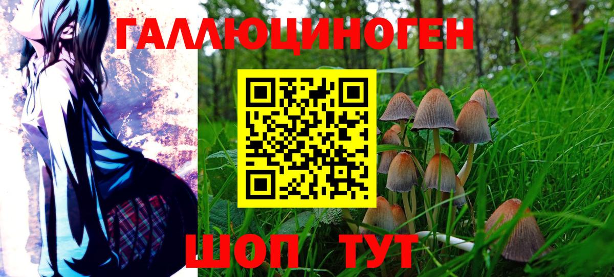 Галлюциногенные грибы MAGIC MUSHROOMS  Вход с VPN  Советск  Псилоцибиновые грибы MAGIC MUSHROOMS 