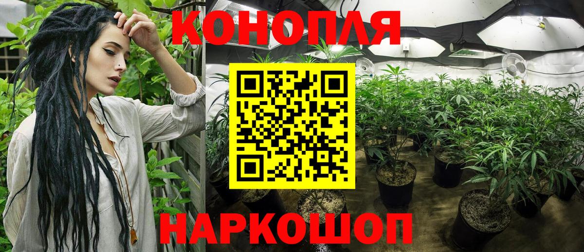 Советск  Канабис SATIVA & INDICA  Бошки марихуана OG Kush  Конопля THC 21%  Вход с VPN  Бошки Шишки сатива 